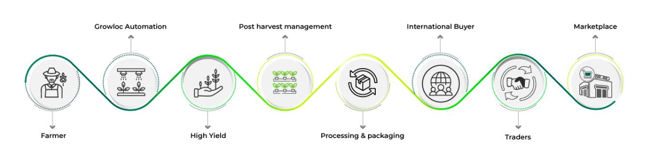 lifecycle